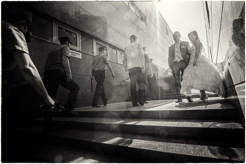 зайцы и полицияphoto preview