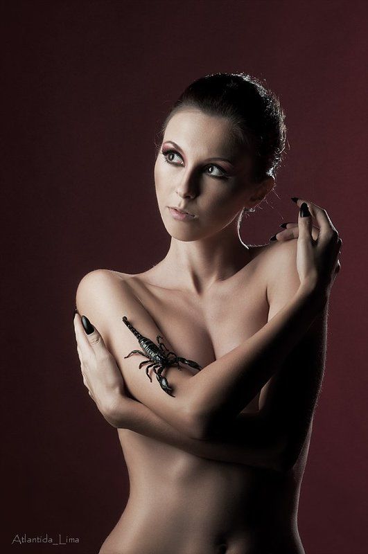 скорпионphoto preview