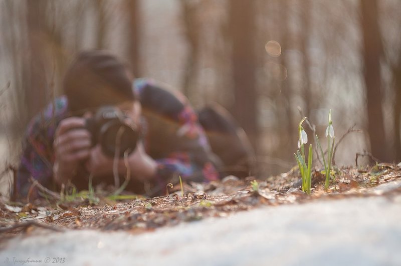 Нелегкие будни фотографа-натуралистаphoto preview