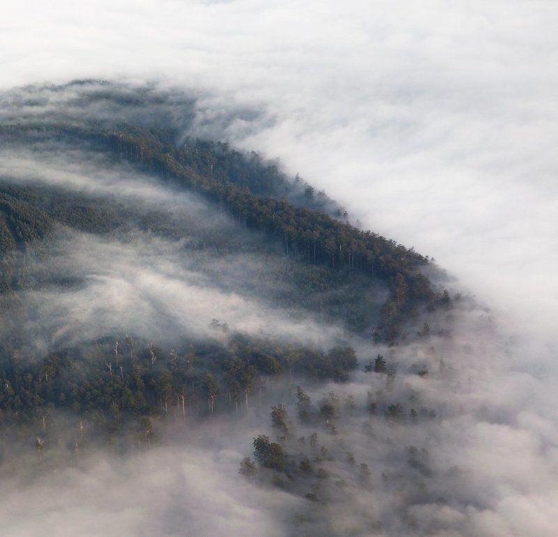 Сладкий пленphoto preview