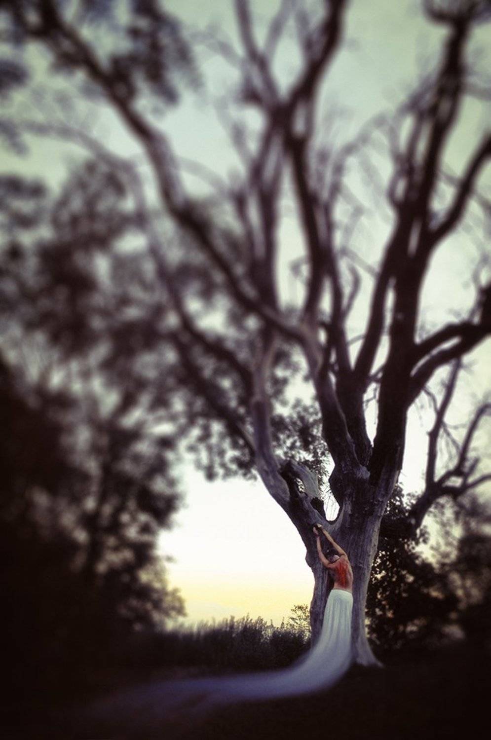 , Конашук Антон