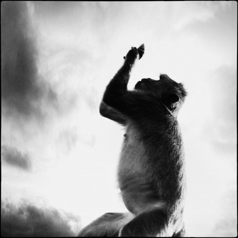 -Хануман, прими дар...photo preview