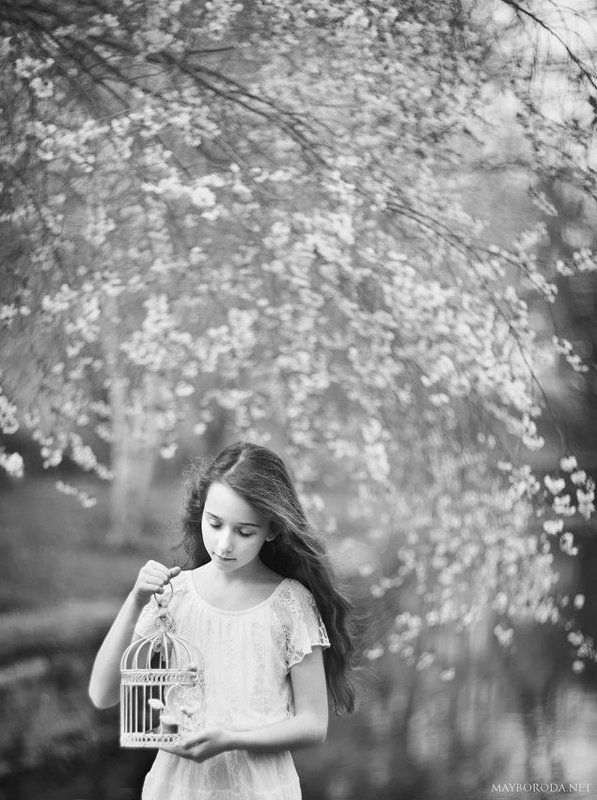 The Forgotten Melodyphoto preview