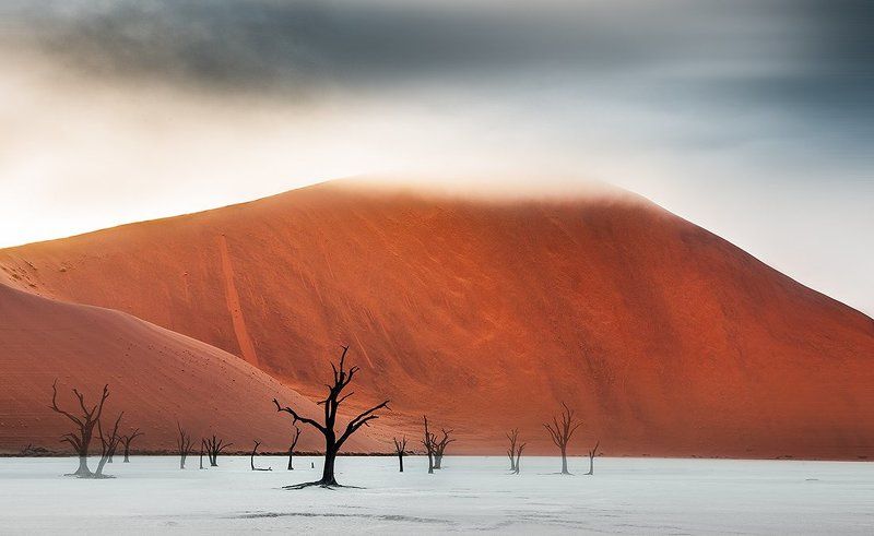намибия, пустыня Призраки Намибphoto preview