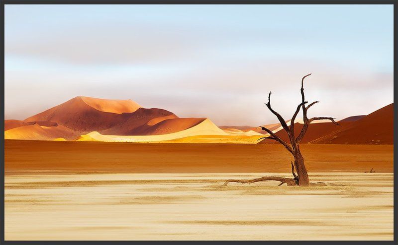 Страж золотых песковphoto preview