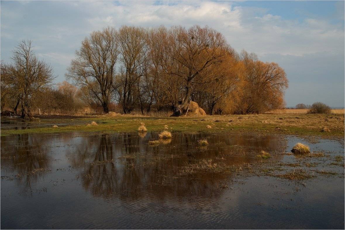 весенняя. Автор: Николай Шахманцир , Николай Шахманцир