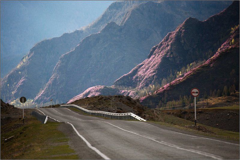 Май, Чуйский трактphoto preview