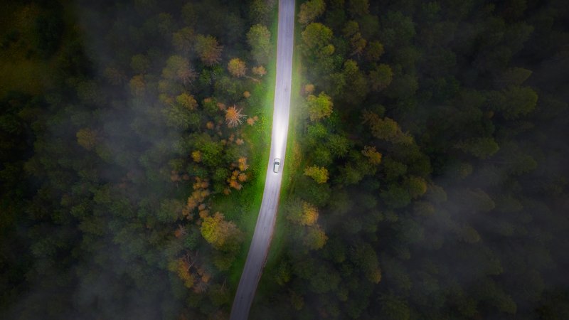 mood,landscape,forest,fog,photoshop,drone Alonephoto preview