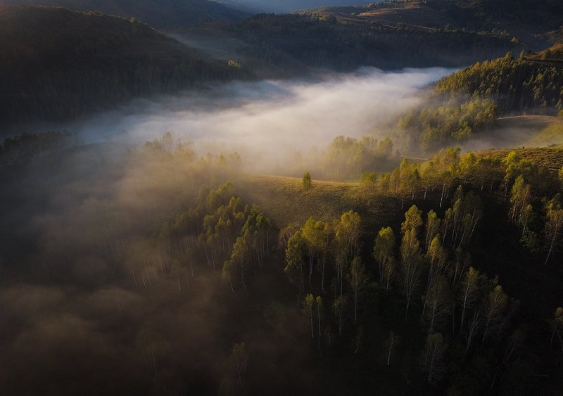 mountains, romania, autumn, sunrise, landscape, nature, travel, trees, fog, misty, light Autumn is Comingphoto preview