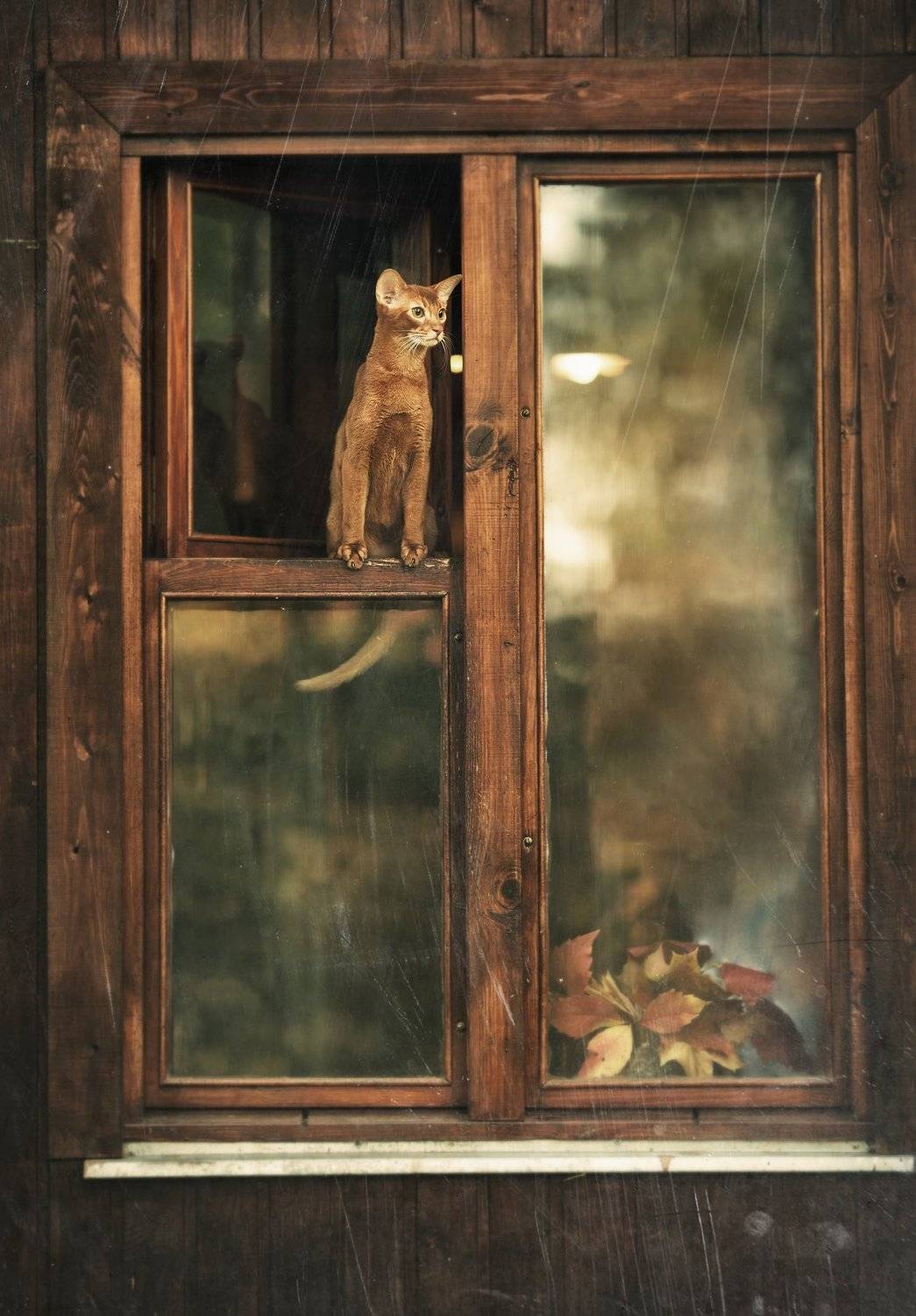 , Мария Трещева