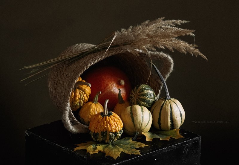 таквы корзина натюрморт Тыковки в корзинке фото превью