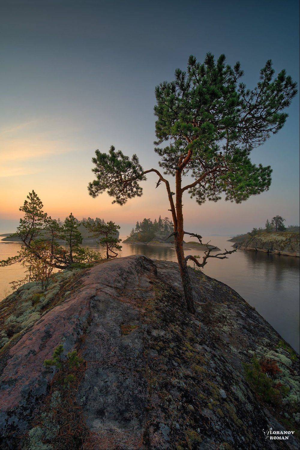 * * *. Автор: Lobanov Roman , Lobanov Roman