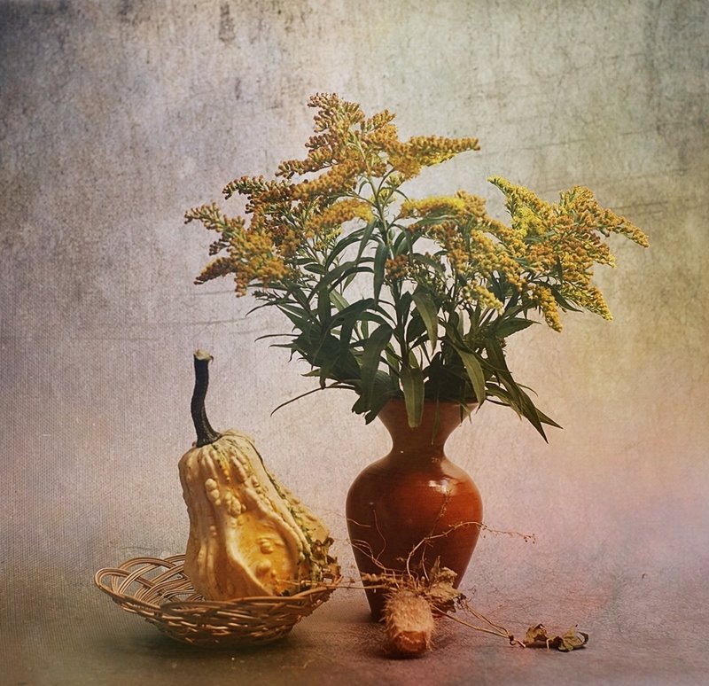 nawłoć i dyniaphoto preview