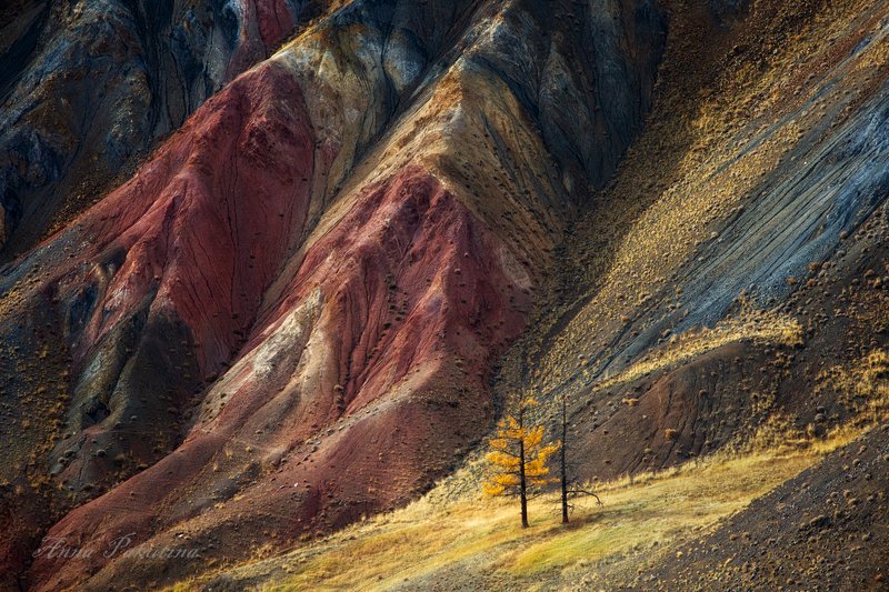 алтай, пейзаж, landscape, altai Алтайский \