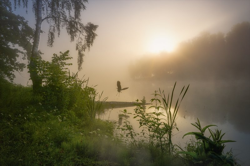 Улетай птичка...photo preview