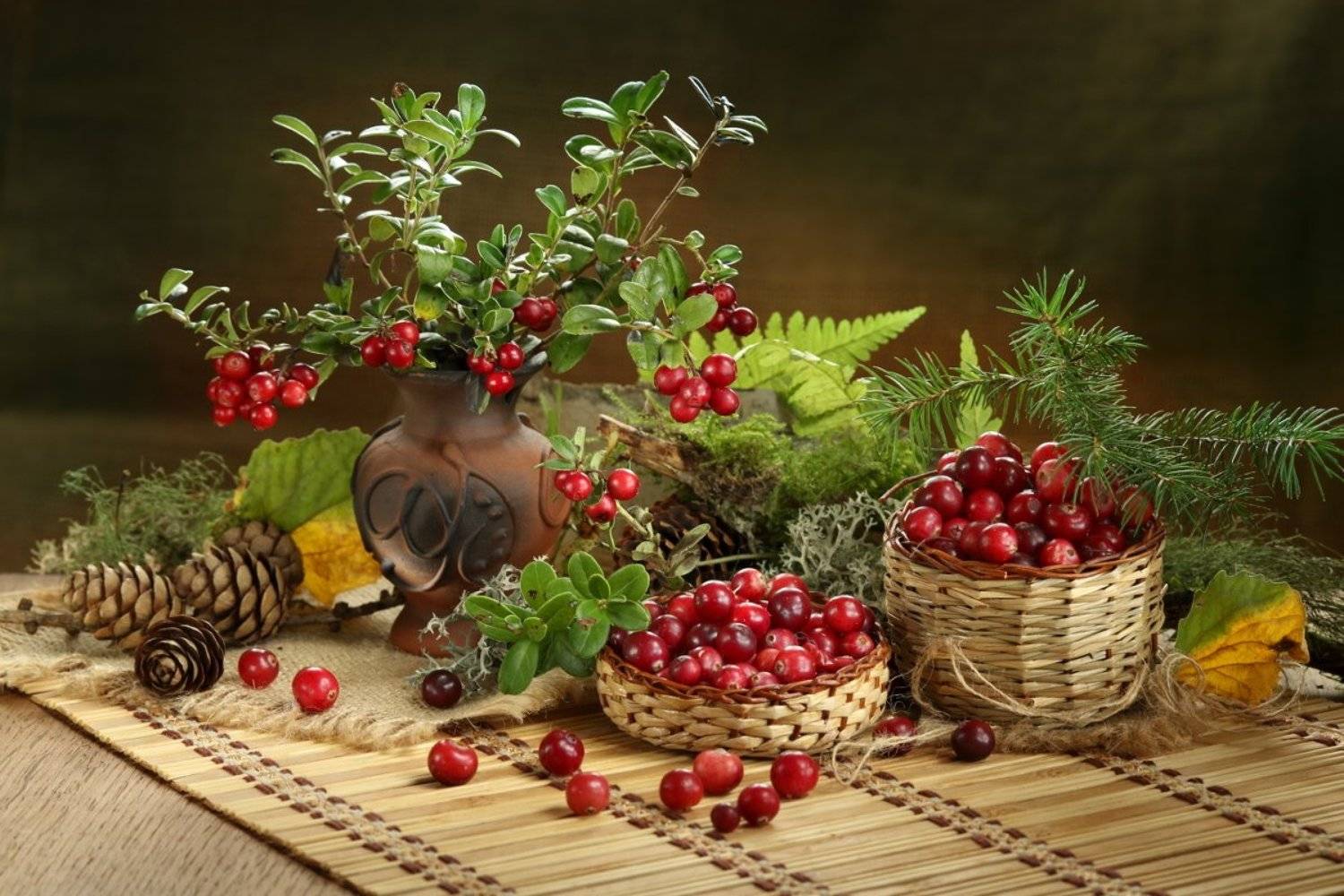 природа, ягоды, брусника, клюква, веточки, Шруб (Беляева) Татьяна