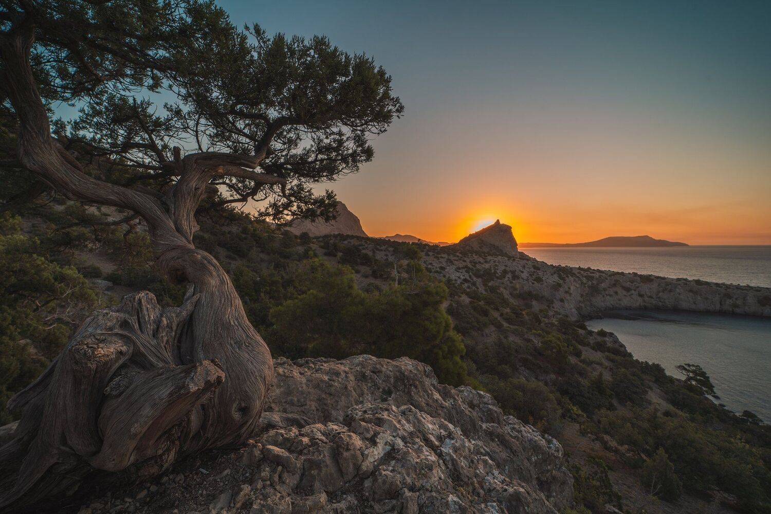 Утро Нового Света (III). Автор: Константин Дэм , Константин Дэм