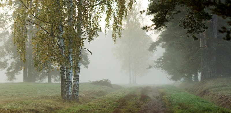 питер, павловскийпарк, павловск Снова осень . . .photo preview