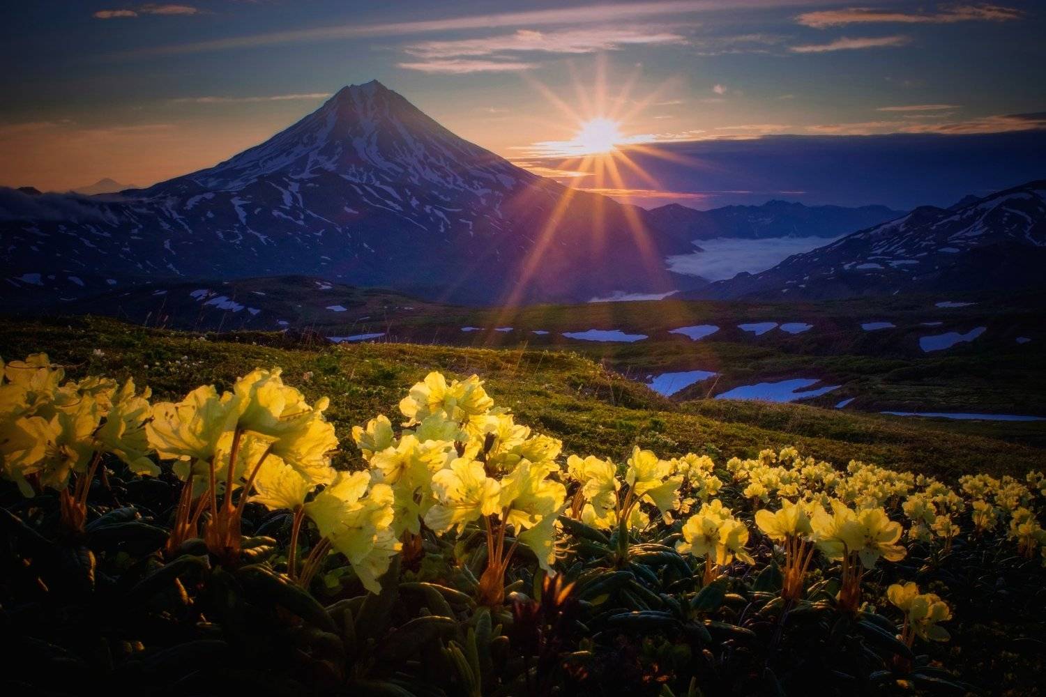 камчатка,рододендроны,рассвет,вилючинский,вулкан, Алексей Кретов