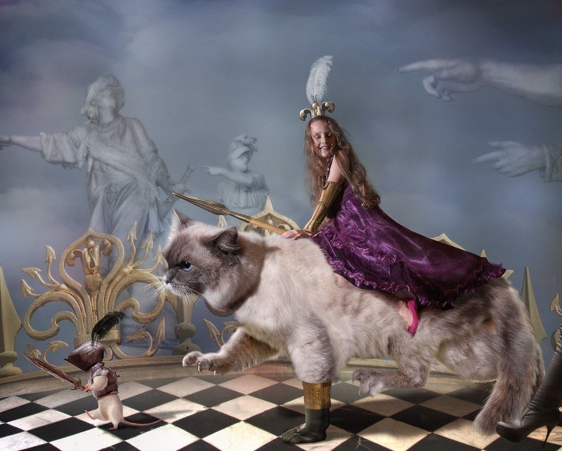 Принцесса едет на войнуphoto preview