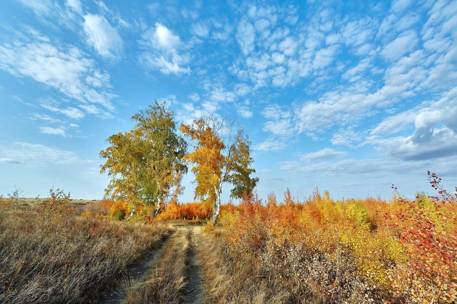Осень на Южном Урале. Автор: Качурин Алексей южный урал,оренбургская область, орск, новотроицк,, Качурин Алексей