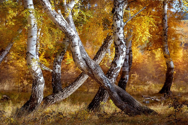 южный урал,оренбургская область, орск, новотроицк, Магический - \