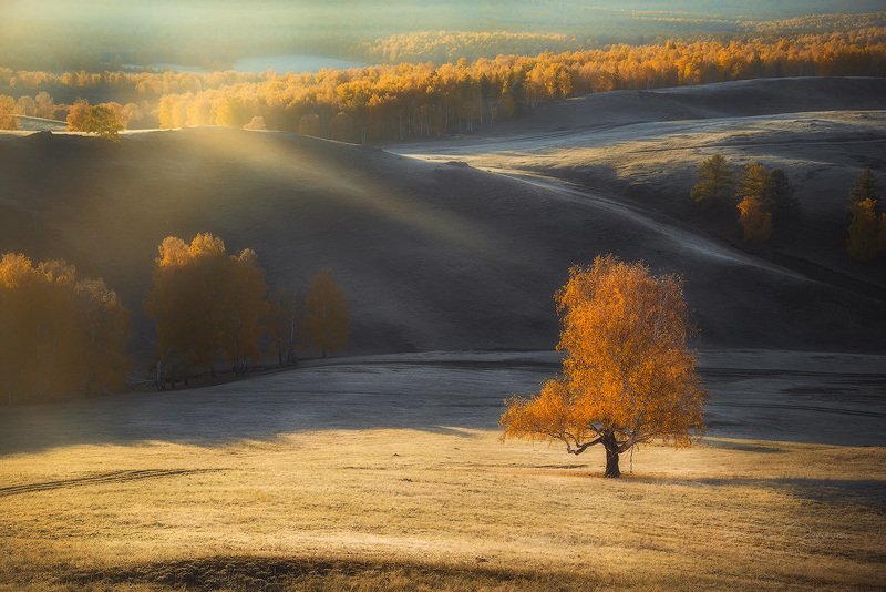 Осеньphoto preview