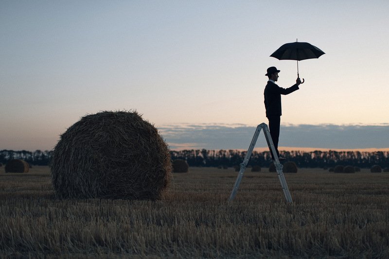 Полеphoto preview