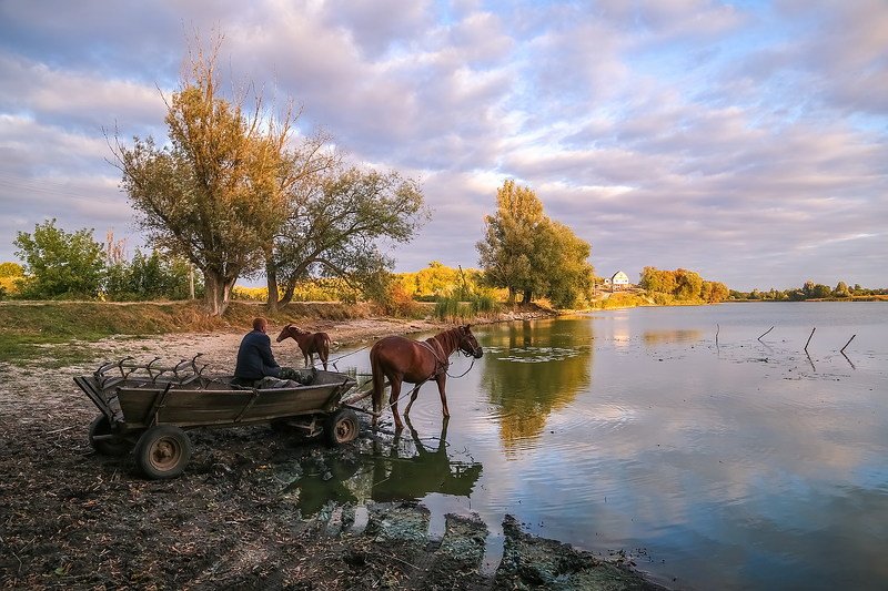 Я коней напою, я куплет допою...photo preview