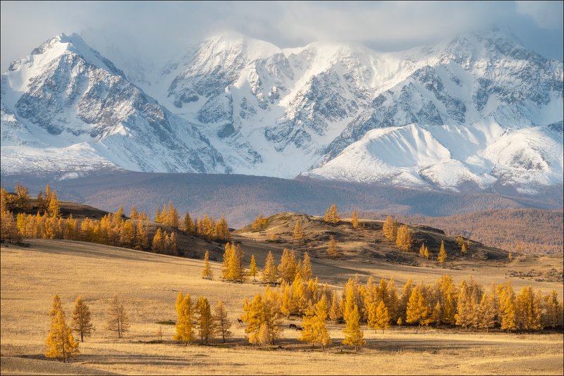 горный алтай ***photo preview