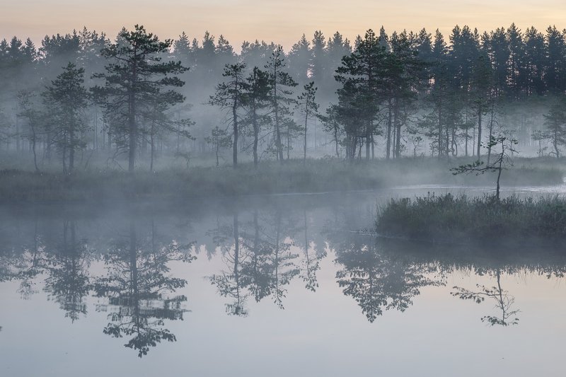 ленинградская область, ленобласть Туманphoto preview