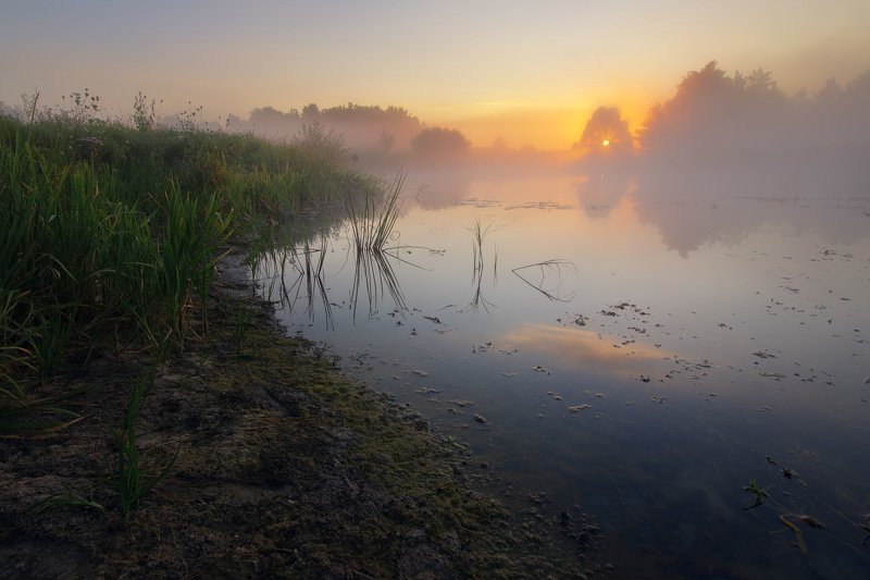река, солнце, туман, утро, рассвет, волчья, river, sun, fog, morning, dawn Берег реки на рассветеphoto preview