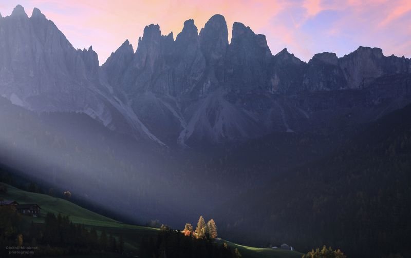 Альпийские стражиphoto preview