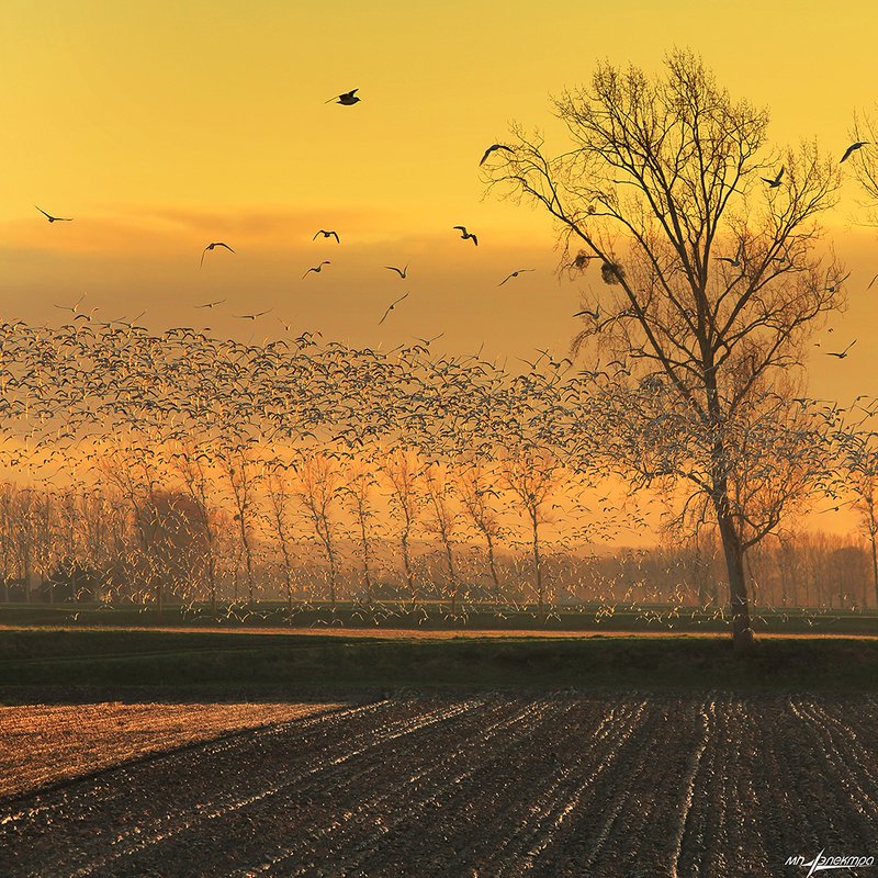 франция,mont saint-michel,france ***photo preview