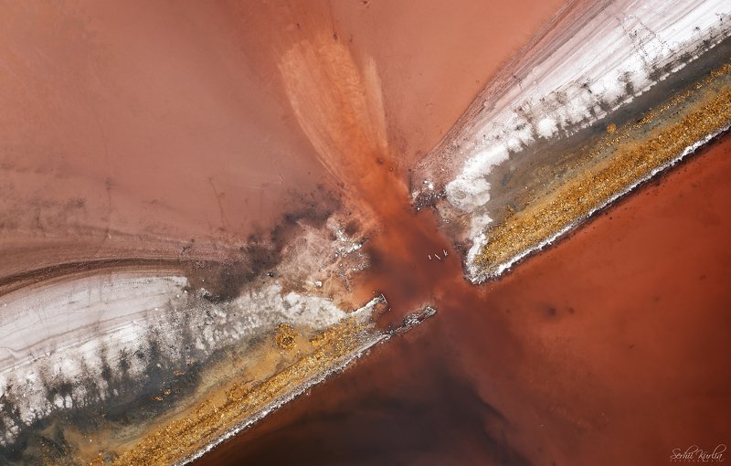 Butterflyphoto preview