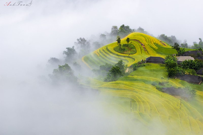 #sellingphoto #landscape Phung Vilagephoto preview