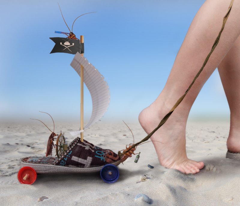 Со своими тараканамиphoto preview