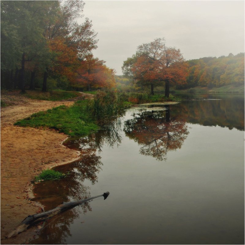 Октябрьphoto preview