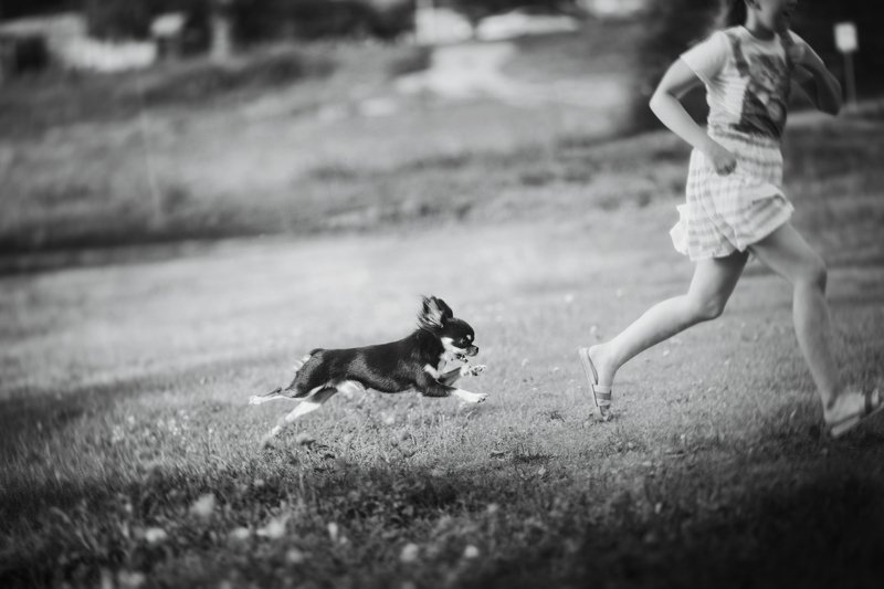 лето дети собака монохром жанр Беззаботностьphoto preview