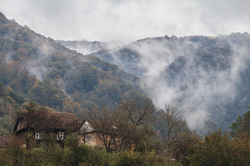 карпаты Карпатыphoto preview