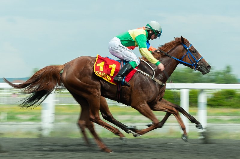 лошади Многоножкаphoto preview