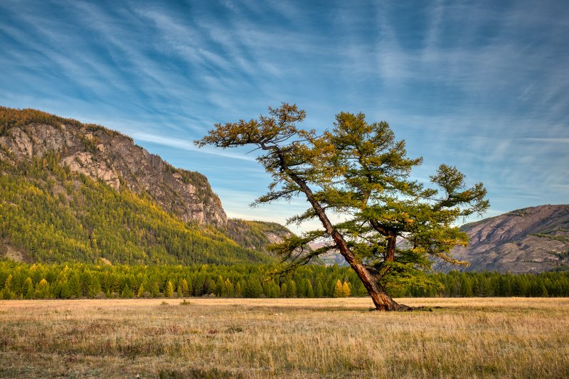 Иероглифphoto preview