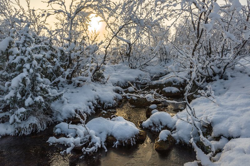 ...первый снегphoto preview