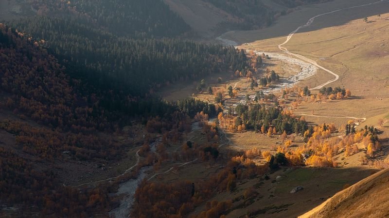 Пейзаж, осень, природа, горы, лес, свет, nature, landscape, orange, autumn, gold, Кавказ Autumnalphoto preview