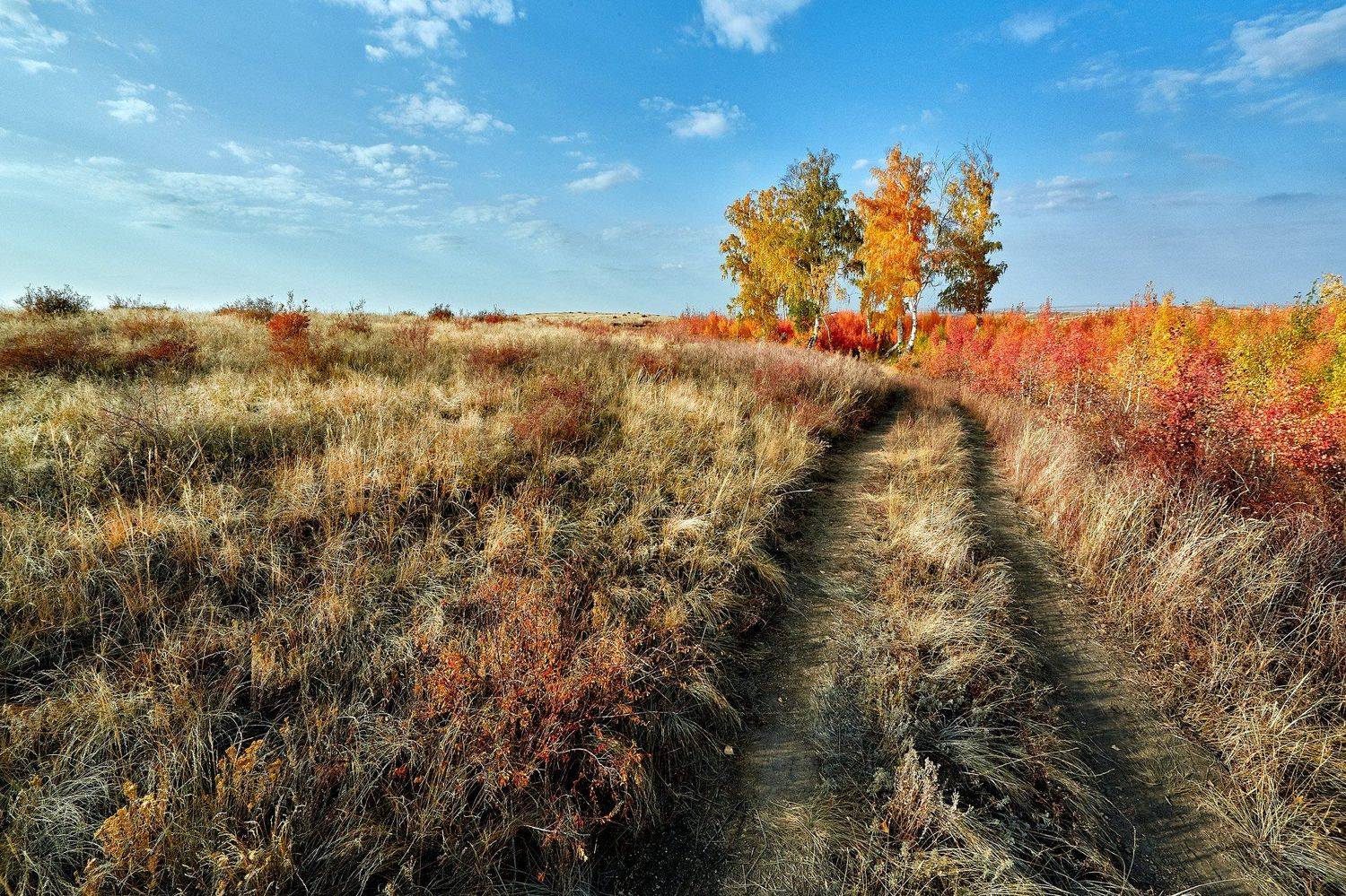 По краю Осени пройдя.... Автор: Качурин Алексей южный урал,оренбургская область, орск, новотроицк,, Качурин Алексей
