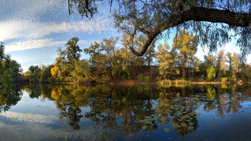 пейзаж,осень,отражение,октябрь,landscape,цвет,вода,релакс,тишина,природа,nature,вид,желтый, ***photo preview