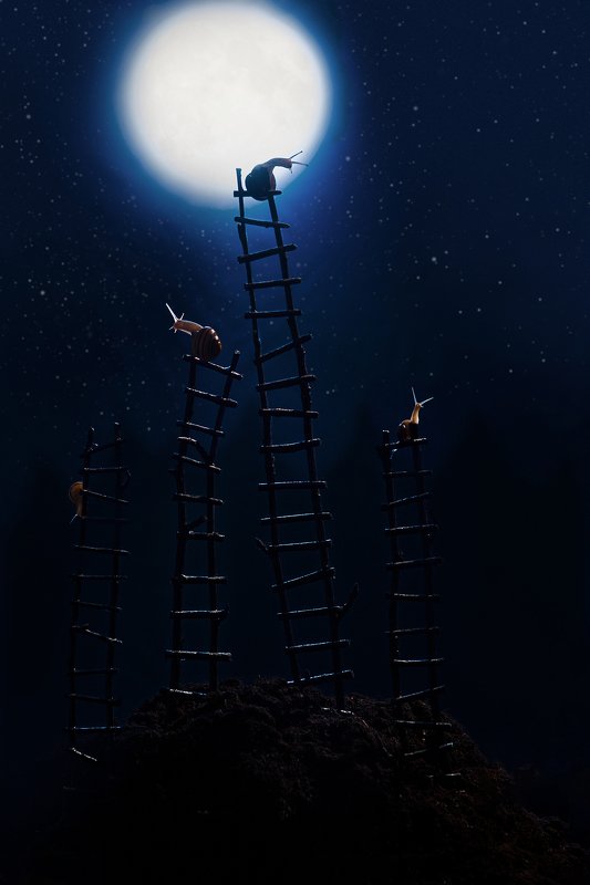 улитки, декорации Ночной дозорphoto preview