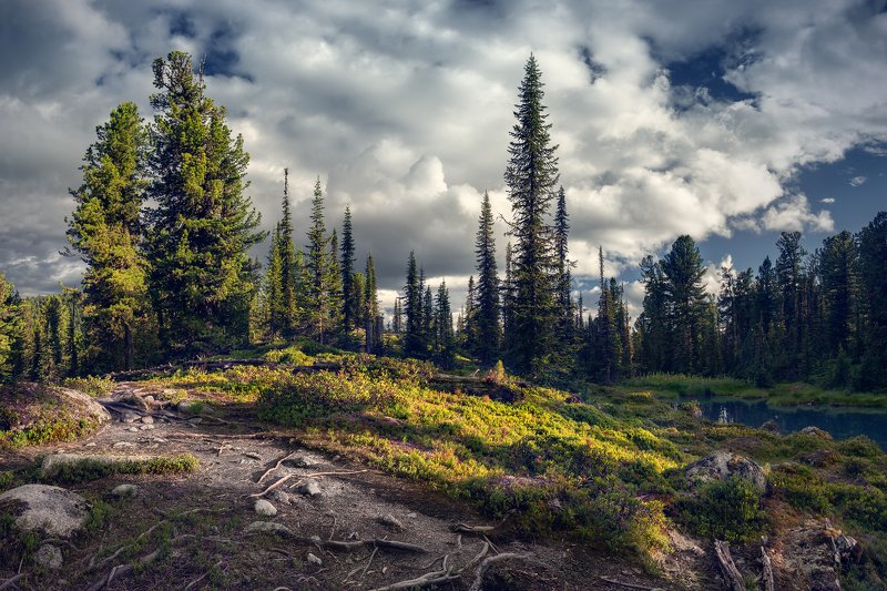 landscape, nature, taiga, lake, forest, rocks, cold, spectacular, пейзаж, природа, тайга, лес, глухая, красивая, озеро, камни, холодное, pure, transparent, morning, moss, чистое, прозрачное, утро, мох, siberia, ergaki, сибирь, ергаки, красноярский край Таёжными тропамиphoto preview