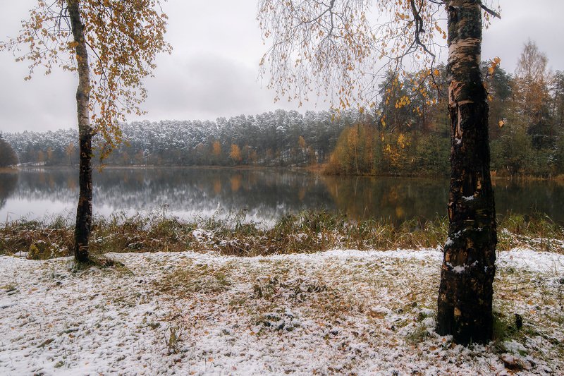 Первая волна зимыphoto preview