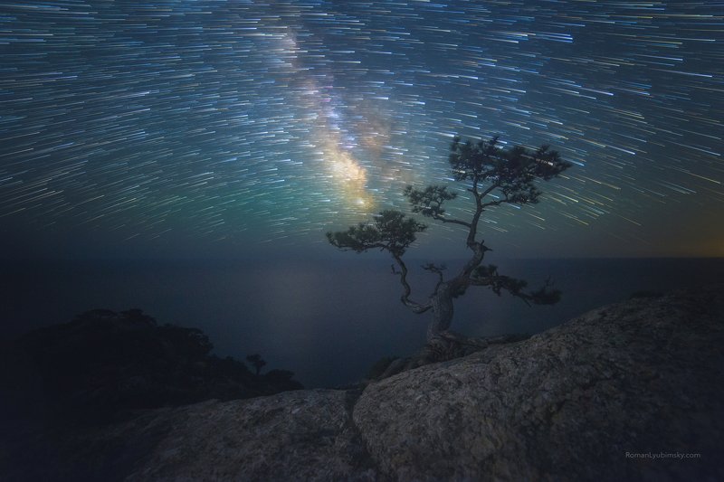 крым, новый свет, пик космос, сосна, ночное фото, ночной пейзаж, астропейзаж Парад кометphoto preview